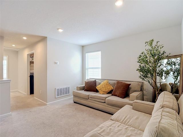 10699 OLD SYCAMORE LOOP, Land O Lakes, FL 34638