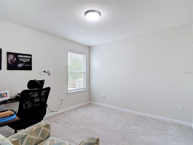 10699 OLD SYCAMORE LOOP, Land O Lakes, FL 34638