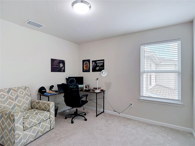 10699 OLD SYCAMORE LOOP, Land O Lakes, FL 34638