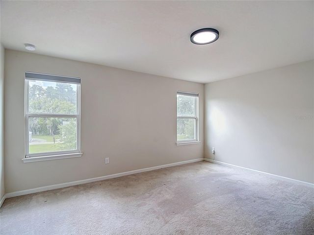 10699 OLD SYCAMORE LOOP, Land O Lakes, FL 34638
