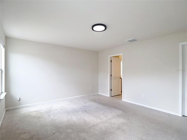 10699 OLD SYCAMORE LOOP, Land O Lakes, FL 34638
