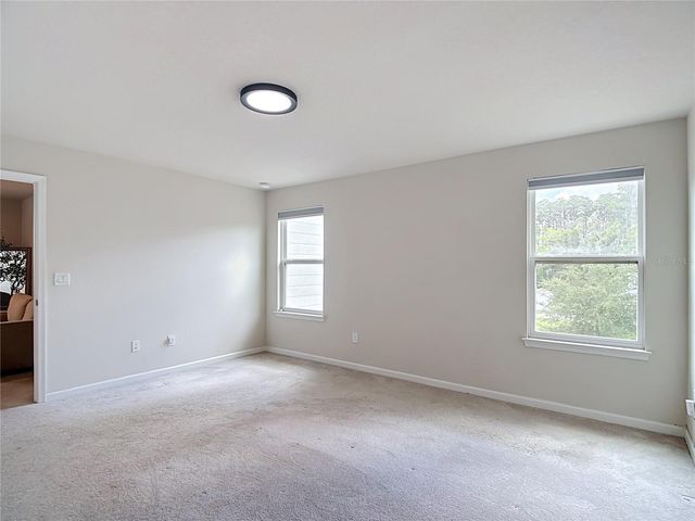 10699 OLD SYCAMORE LOOP, Land O Lakes, FL 34638