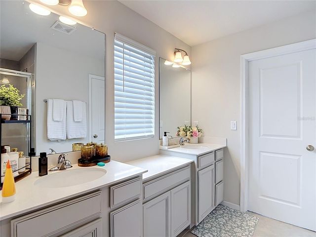 10699 OLD SYCAMORE LOOP, Land O Lakes, FL 34638