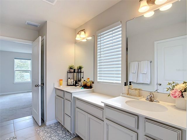 10699 OLD SYCAMORE LOOP, Land O Lakes, FL 34638