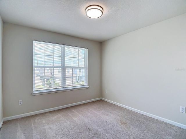 10699 OLD SYCAMORE LOOP, Land O Lakes, FL 34638