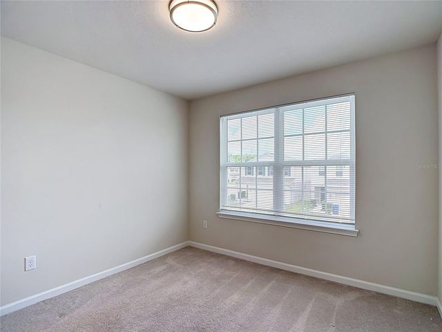 10699 OLD SYCAMORE LOOP, Land O Lakes, FL 34638