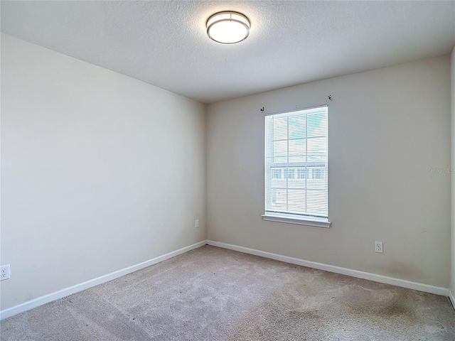10699 OLD SYCAMORE LOOP, Land O Lakes, FL 34638