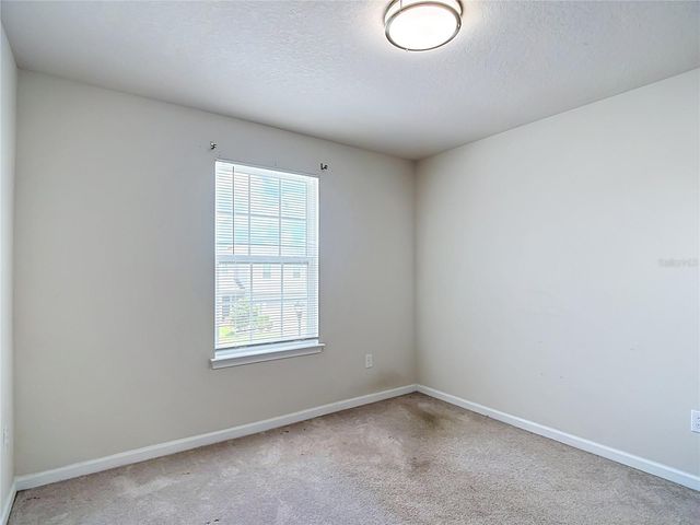 10699 OLD SYCAMORE LOOP, Land O Lakes, FL 34638