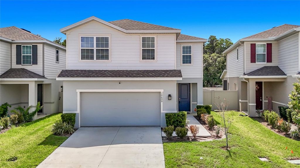 10699 OLD SYCAMORE LOOP, Land O Lakes, FL 34638