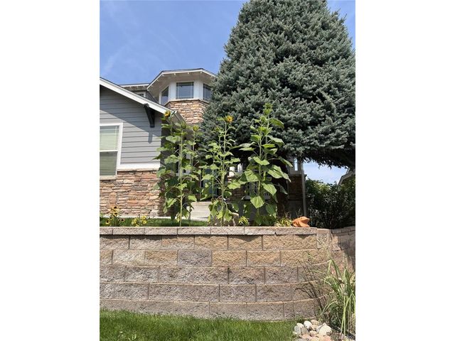 8537 Winter Berry Dr, Castle Pines, CO 80108