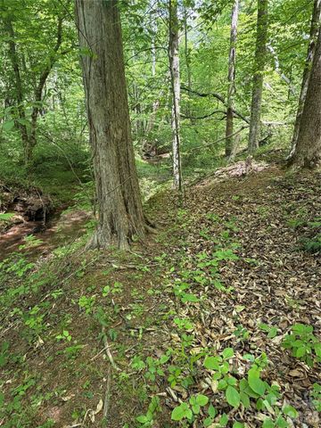 0 Overstone Drive 284, Rutherfordton, NC 28139