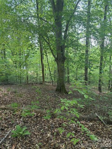 0 Overstone Drive 284, Rutherfordton, NC 28139