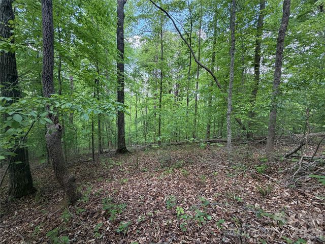 0 Overstone Drive 284, Rutherfordton, NC 28139