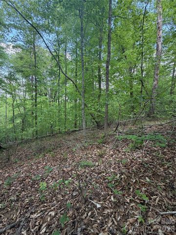 0 Overstone Drive 284, Rutherfordton, NC 28139