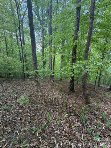 0 Overstone Drive 284, Rutherfordton, NC 28139