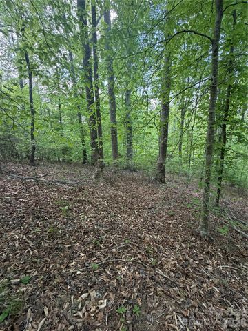 0 Overstone Drive 284, Rutherfordton, NC 28139