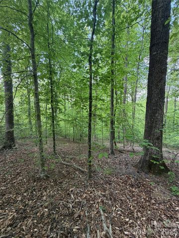 0 Overstone Drive 284, Rutherfordton, NC 28139