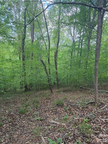 0 Overstone Drive 284, Rutherfordton, NC 28139