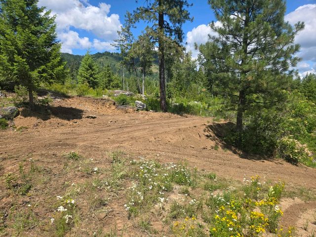 432 Quartz Rd, Newport, WA 99156