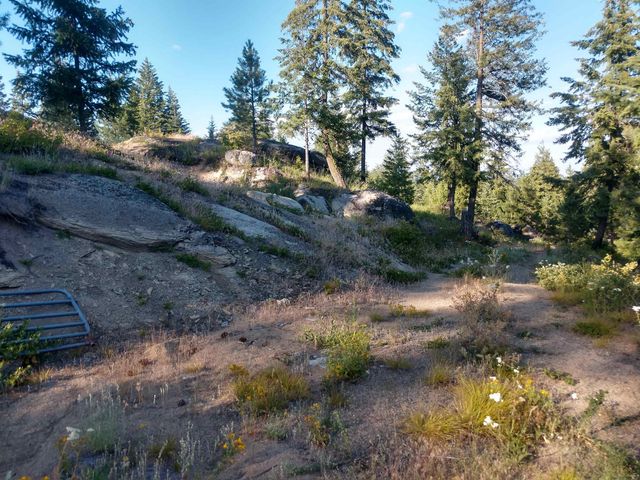 432 Quartz Rd, Newport, WA 99156