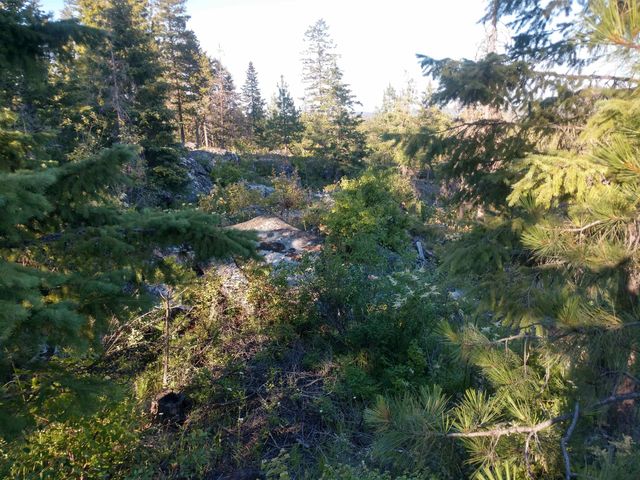 432 Quartz Rd, Newport, WA 99156