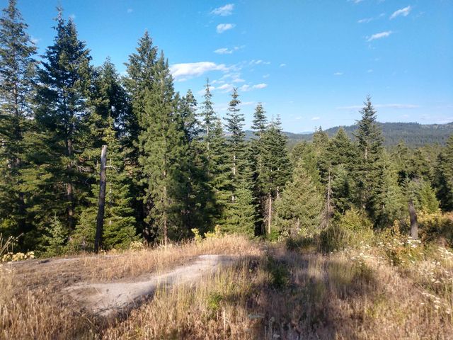 432 Quartz Rd, Newport, WA 99156