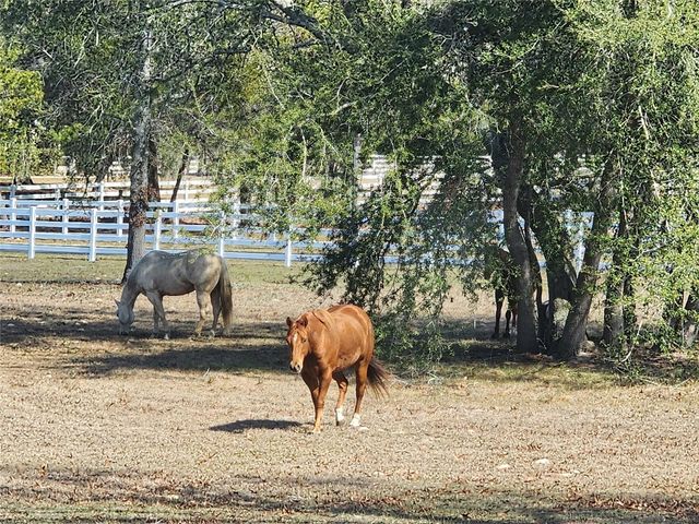 10532 SW 27TH AVENUE, Ocala, FL 34476