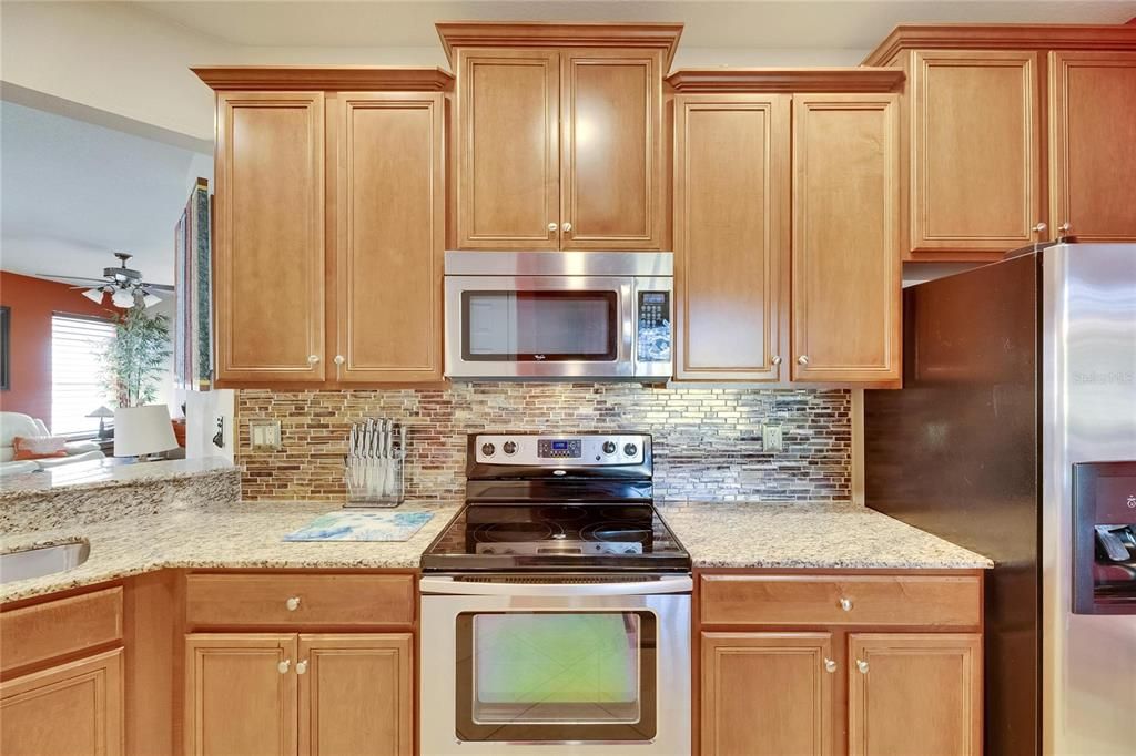 402 SENECA FALLS DRIVE, Apollo Beach, FL 33572