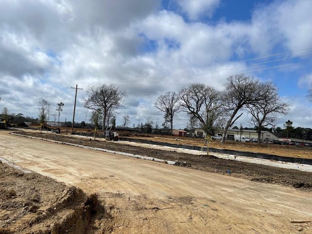 12144 Ruffian Drive, Willis, TX 77318