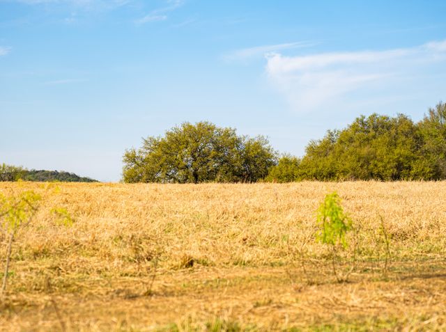 138 RIVER SHOALS Road, Mineral Wells, TX 76067