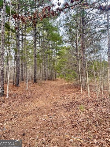 0 Padgett Road LOT 14, Senoia, GA 30276