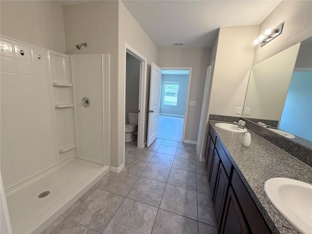 10013 CRESTED FRINGE DRIVE, Riverview, FL 33578