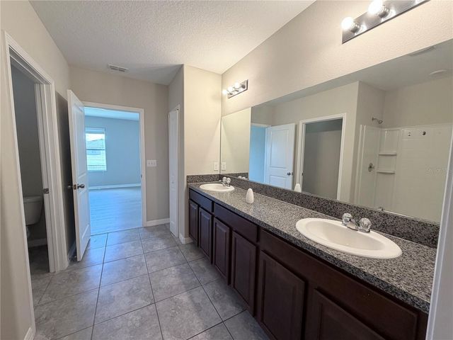10013 CRESTED FRINGE DRIVE, Riverview, FL 33578