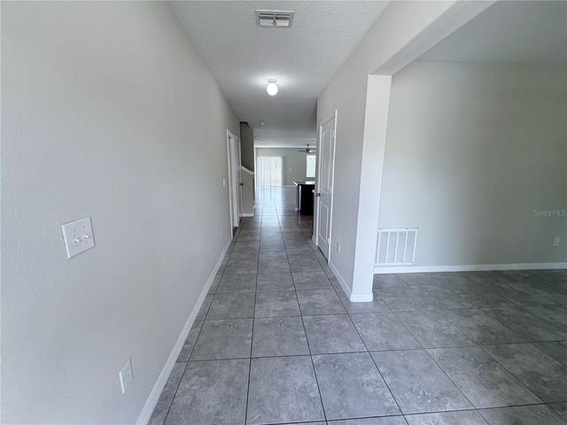 10013 CRESTED FRINGE DRIVE, Riverview, FL 33578