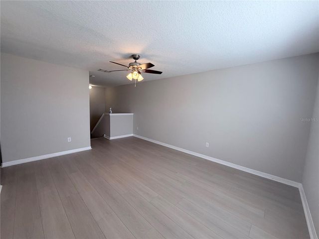 10013 CRESTED FRINGE DRIVE, Riverview, FL 33578