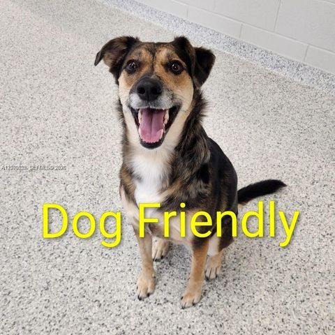 3304 Virginia St 3D, Miami, FL 33133