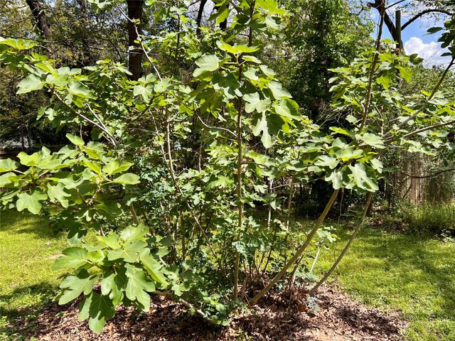 28905 Richard Kaye Lane, Pinehurst, TX 77362