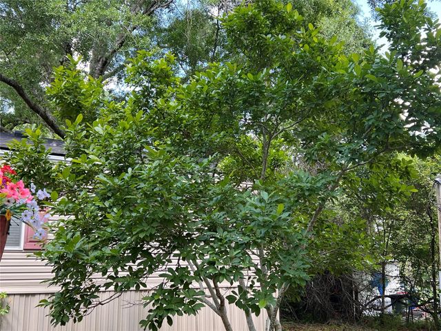 28905 Richard Kaye Lane, Pinehurst, TX 77362