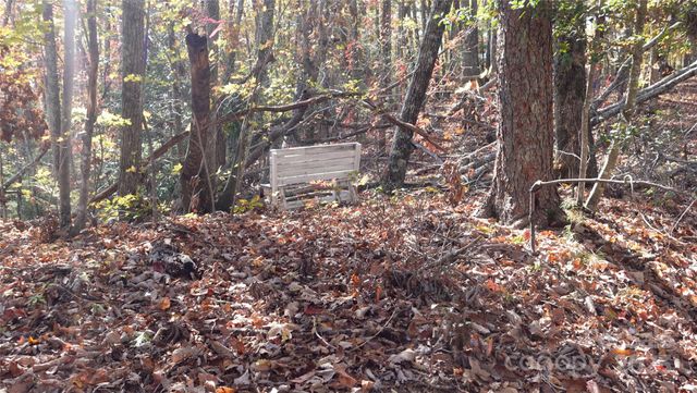 00 Lytle Mountain Road, Marion, NC 28752