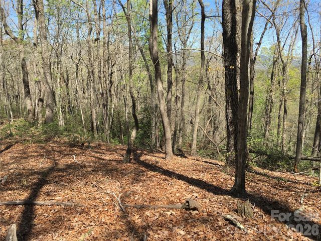 00 Lytle Mountain Road, Marion, NC 28752