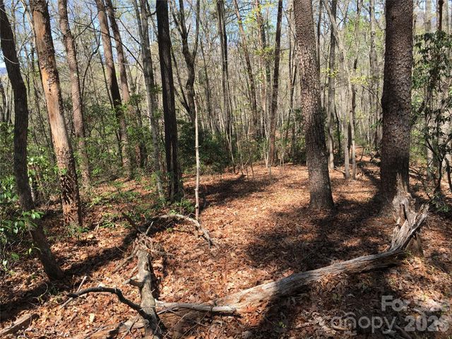 00 Lytle Mountain Road, Marion, NC 28752