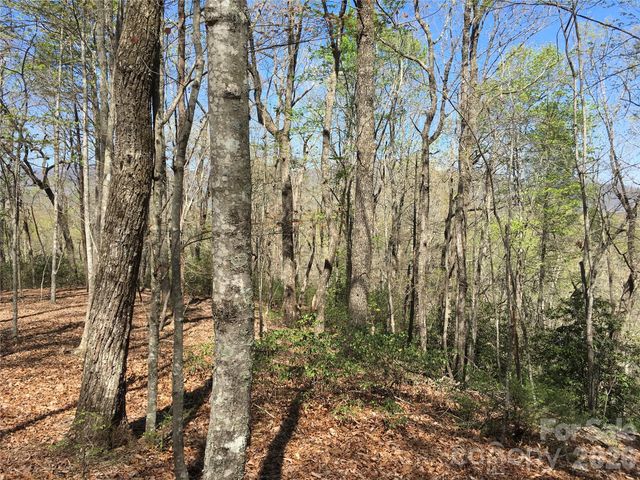 00 Lytle Mountain Road, Marion, NC 28752