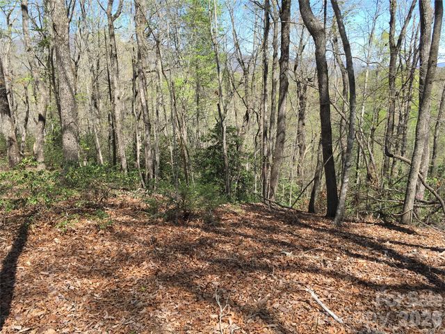 00 Lytle Mountain Road, Marion, NC 28752