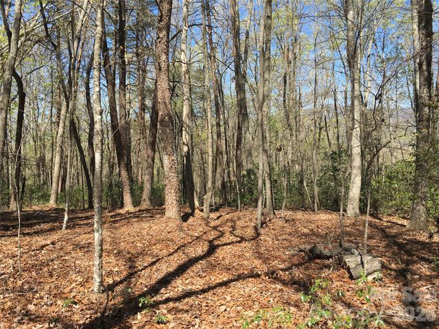 00 Lytle Mountain Road, Marion, NC 28752