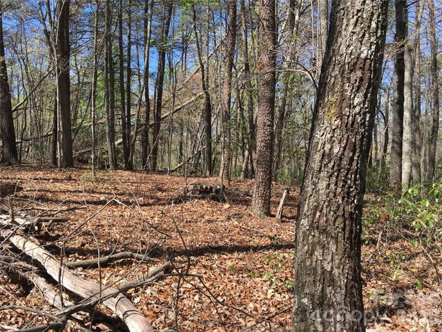 00 Lytle Mountain Road, Marion, NC 28752