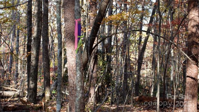 00 Lytle Mountain Road, Marion, NC 28752