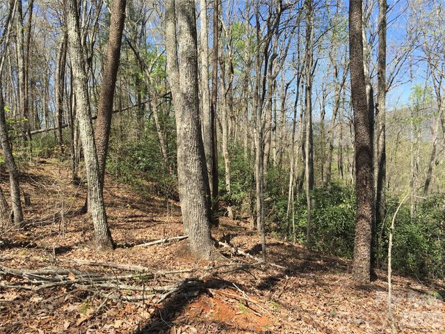 00 Lytle Mountain Road, Marion, NC 28752