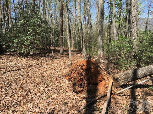 00 Lytle Mountain Road, Marion, NC 28752