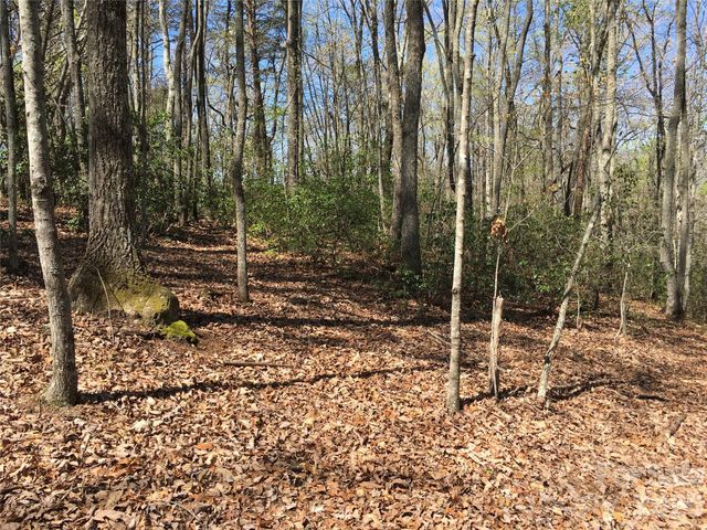 00 Lytle Mountain Road, Marion, NC 28752