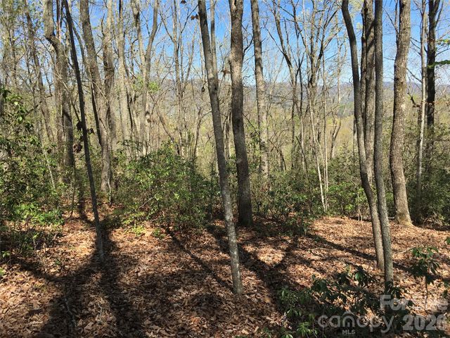 00 Lytle Mountain Road, Marion, NC 28752
